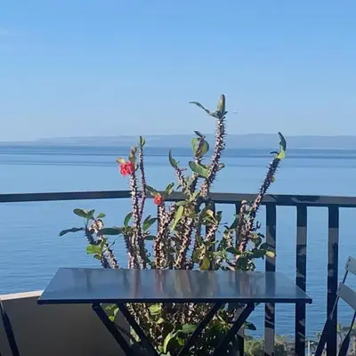 Casa Nausica