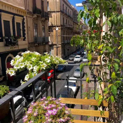 Il quartiere o una zona nella vicinanze dell'appartamento