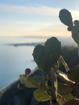 Paesaggio naturale nelle vicinanze dell'affittacamere