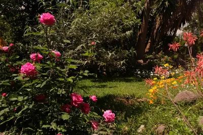 Giardino di B&B CasaNera