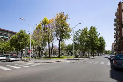 Il quartiere o una zona nella vicinanze dell'appartamento