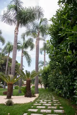 Giardino di Boutique Villa Etna d'A'mare