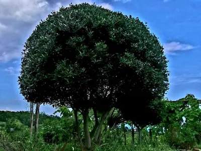Paesaggio naturale nelle vicinanze della casa vacanze