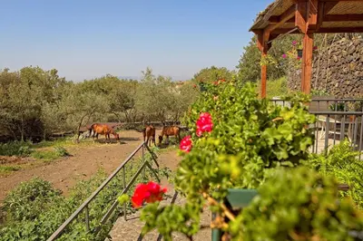 Giardino di HORSE HOUSE