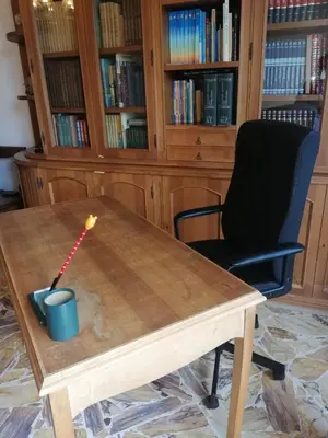 Biblioteca nella casa vacanze