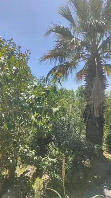 Giardino di La Fattoria Dei Nonni