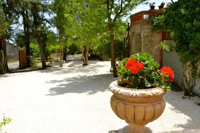 Giardino di Villa Bonaccorso - antica e maestosa villa con piscina ai piedi dell'Etna
