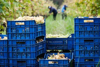 Planimetria di Wine Resort Villagrande
