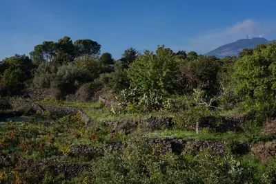 Paesaggio naturale nelle vicinanze della villa