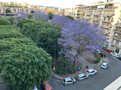 Il quartiere o una zona nella vicinanze dell'appartamento