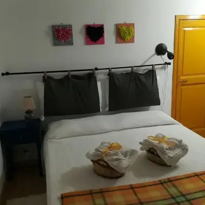 The Yellow House