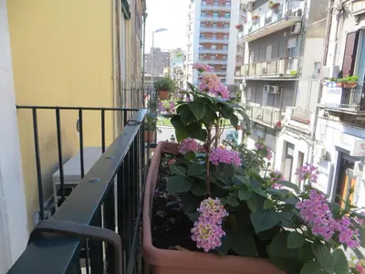 Planimetria di Al Mare In Città