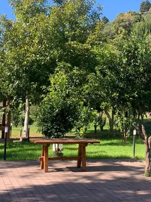 Giardino di Villa Bonanno Conti