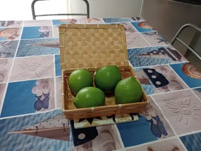 Planimetria di Casa Vacanza SalGiò