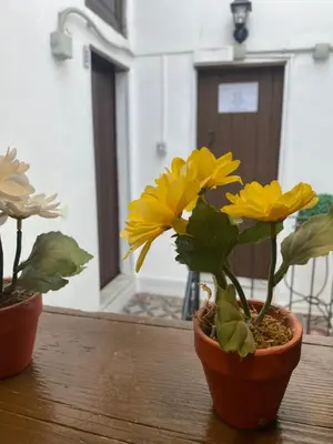 Planimetria di Florhouse Pacini