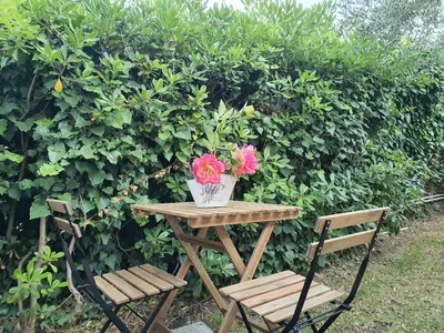 Giardino di Villa Martina