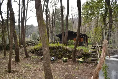 Giardino di Intry Etna Chalet