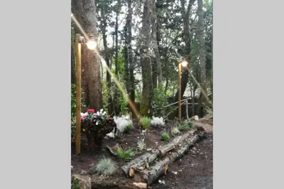 Giardino di Intry Etna Chalet