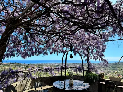 Paesaggio naturale nelle vicinanze del bed & breakfast