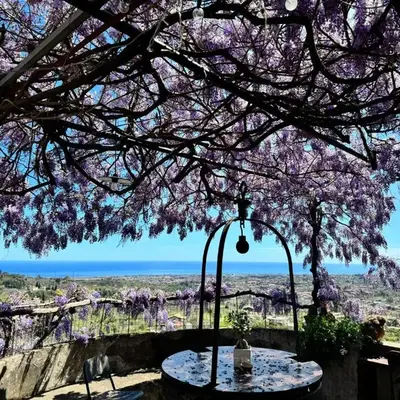 Il noceto dell'Etna