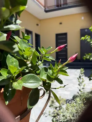 Giardino di “I Niputeddi”