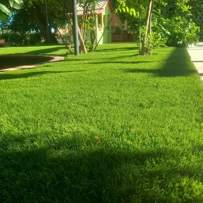 Giardino di Poggiofelice B&B