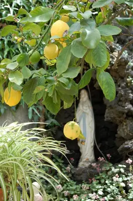 Giardino di La Durlindana B&B