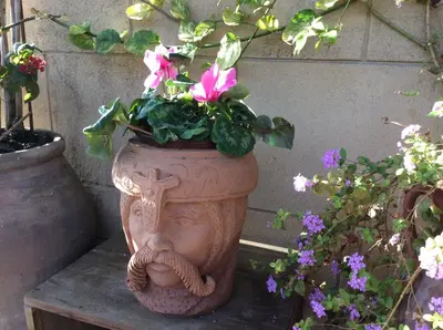 Giardino di CESARE'S HOME