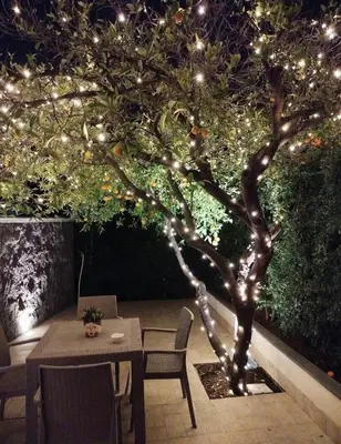 Giardino di Casa vacanza Il Mandarino