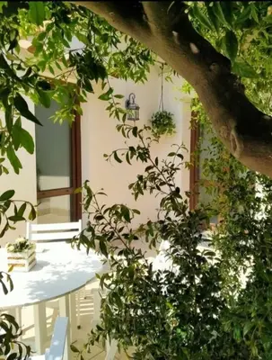 Giardino di Casa vacanza Il Mandarino