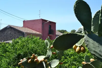 Planimetria di B&B La Casa del Ficus