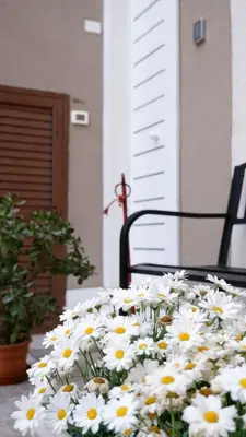 Planimetria di Agada Suite