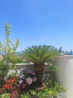 Giardino di BlueSky