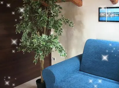 Area soggiorno di B&B Suite