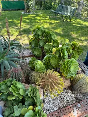 Giardino di Villa Roccia Scura dell'Etna