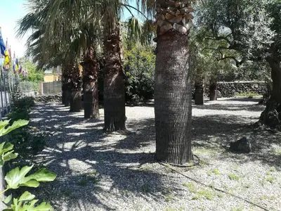 Giardino di Cozy Etna Apartment with Pool
