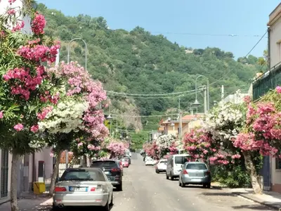 Paesaggio naturale nelle vicinanze dell'appartamento