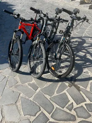 Attività di ciclismo presso l'appartamento o nelle vicinanze