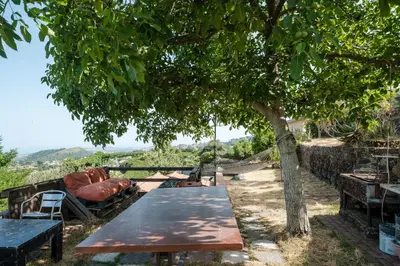 Paesaggio naturale nelle vicinanze della villa
