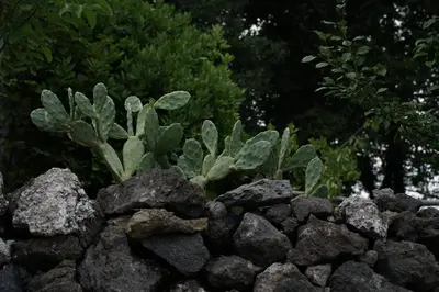 Paesaggio naturale nelle vicinanze dell'appartamento