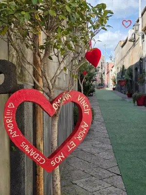 Il quartiere o una zona nella vicinanze dell'appartamento