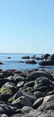 Paesaggio naturale nelle vicinanze dell'affittacamere