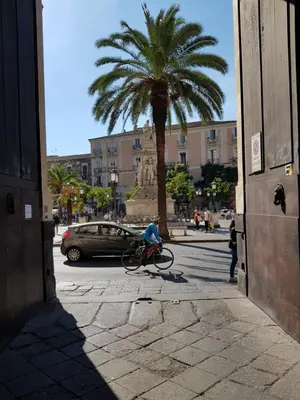 Il quartiere o una zona nella vicinanze dell'appartamento