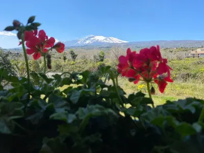 Vista generica sulle montagne o vista sulle montagne dall'interno dell'affittacamere