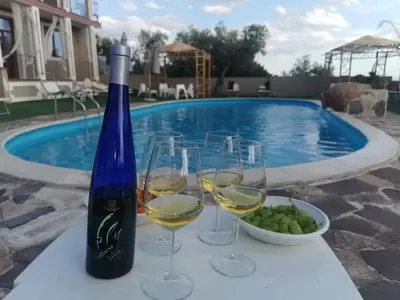 Bevande di Etnadia